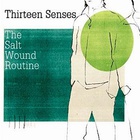 Thirteen Senses - The Salt Wound Routine (CDS)