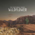 The National Parks - Wildflower