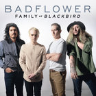 Family (Blackbird) (CDS)