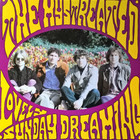 Lovely Sunday Dreaming