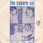The Square Set - That's What I Want (VLS)