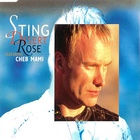 Sting - Desert Rose (Feat. Cheb Mami) (MCD)