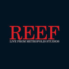 Reef - Live From Metropolis Studios