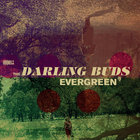 Evergreen (EP)