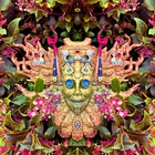 Shpongle - Carnival Of Peculiarities (EP)