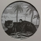 Tigerskin - Try The Impossible (EP) (Vinyl)