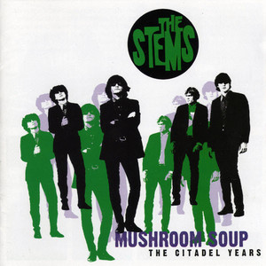 Mushroom Soup, The Citadel Years