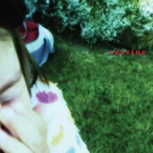 Corvine