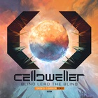 Celldweller - Blind Lead The Blind (Toronto Is Broken Remix) (CDS)