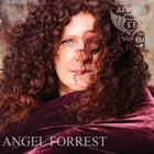 Angel Forrest - Angel's 11, Vol. 2