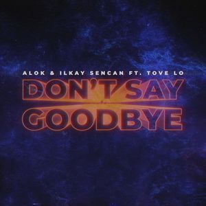 Don't Say Goodbye (With Ilkay Sencan & Tove Lo)