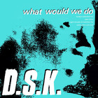 DSK - What Would We Do? (MCD)