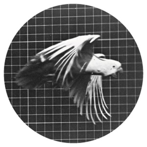 Serenade (EP)