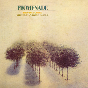 Promenade (With Mícheál Ó Domhnaill) (Vinyl)