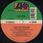 Love So Special (EP) (Vinyl)