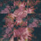 Say She She - Prism (CDS)
