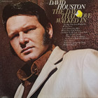 David Houston - The Day That Love Walked In (Vinyl)