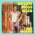 Cut Worms - Dream Most Wild (CDS)