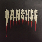 Banshee - Breakdown (VLS)