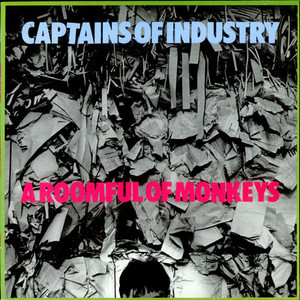 A Roomful Of Monkeys (Vinyl)
