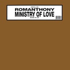 Ministry Of Love (VLS)