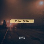 Skrizzly Adams - Drive Slow (CDS)