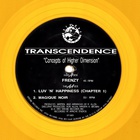 Transcendence - Concepts Of Higher Dimension (Vinyl)