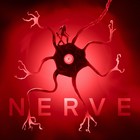 Neoni - Nerve (CDS)