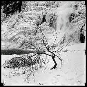 Frozen (With Miss Twilight) (CDS)