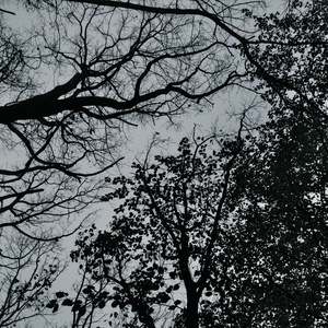 Ninepin (EP)