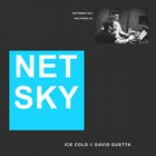 Ice Cold (Original Mix) (Feat. David Guetta) (CDS)