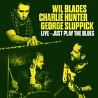 Wil Blades - Just Play The Blues (With Charlie Hunter & George Sluppick)