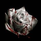 D4Vd - Romantic Homicide (CDS)