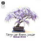 Terry Lee Brown Jr. - Bonzai Drive (EP)