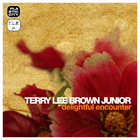 Terry Lee Brown Jr. - Delightful Encounter (EP)