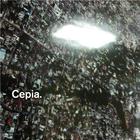 Cepia - Cepia