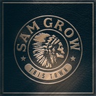 Sam Grow - This Town
