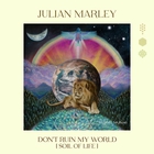 Julian Marley - Don't Ruin My World (Soil Of Life) (CDS)
