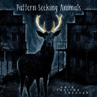 Pattern-Seeking Animals - Only Passing Through (Bonus Track Edition)