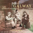 A Song Of Home - An Irish American Musical Journey