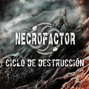 Ciclo De Destrucción