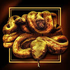 The Snake (EP)