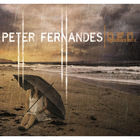 Peter Fernandes - Q.E.D.