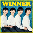 Winner - Hold (CDS)