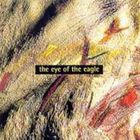 The Eye Of The Eagle (With David Fitzgerald)