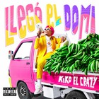 Llego El Domi