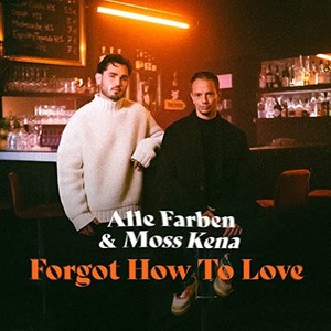 Forgot How To Love (With Moss Kena) (CDS)