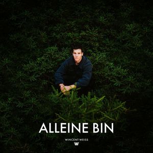 Alleine Bin (CDS)