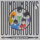 DumDum Boys - Pstereo