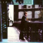 Liz Carroll - Lost In The Loop